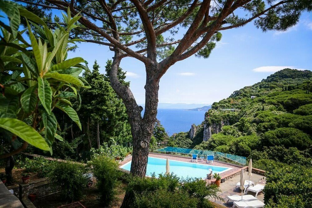 Suite Villa  Carolina