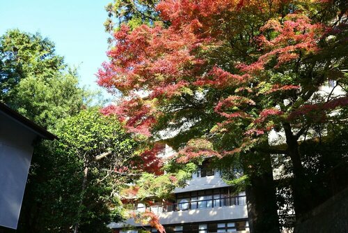 Oku Yugawara SANSUIROU, Prenota Affittacamere Yugawara Kanagawa