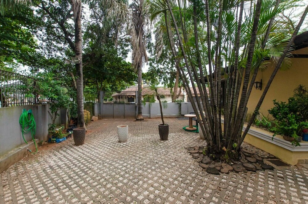 Bright Studio surrounded by trees