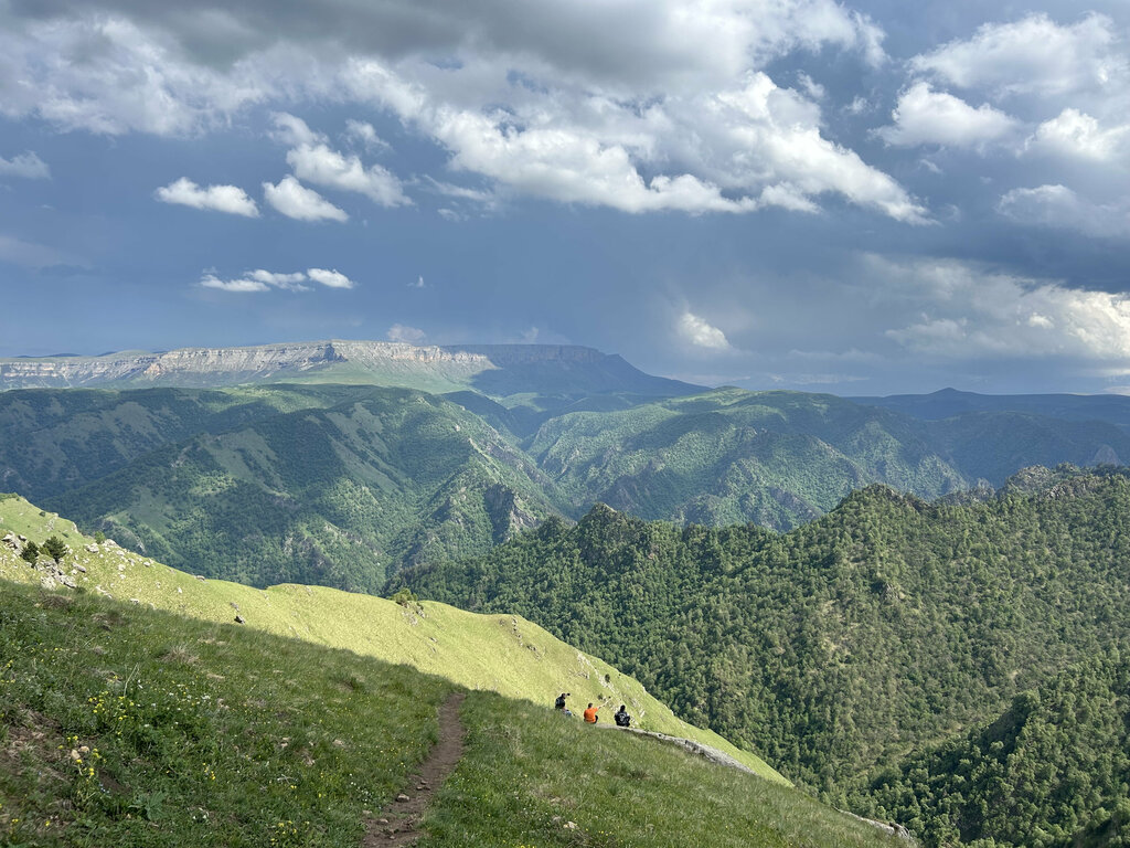 Медовые Холмы