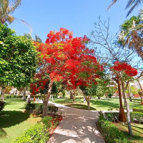 TUI MAGIC LIFE Redsina Sharm El Sheikh, Забронировать Отель Отели Шарм-эш-Шейх с питанием, Пансион