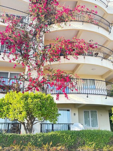 Grand Uysal Beach & Spa Hotel, Забронировать Отель СПА-отели Алании, рядом с Река Дим-Чай, SPA-услуги