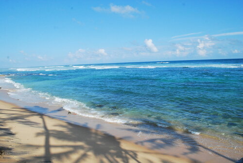 Paradise Beach Resort & Diving school, Prenota Resort Hotel a Matara District con pasti, Mezza/completa pensione