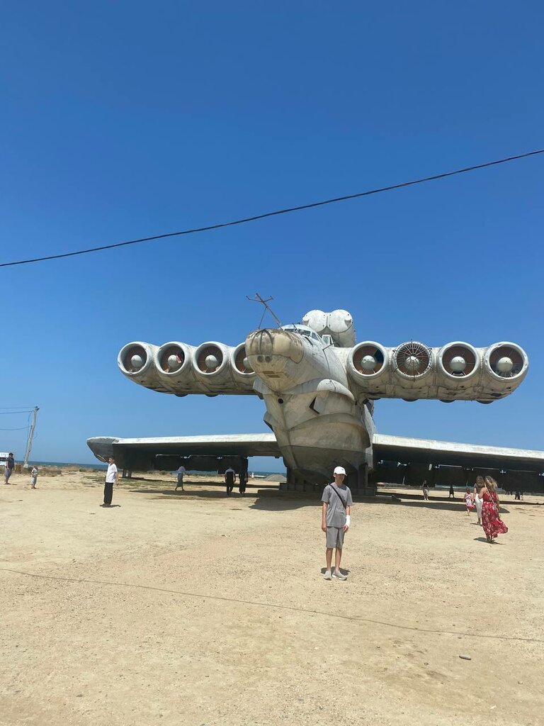 Электра Холидей