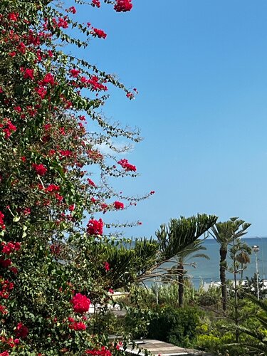 Hasdrubal Thalassa & Spa Port El Kantaoui, Rezerwuj Hotel Hotele w Susa z parkingiem, Parking