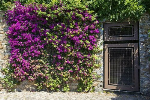 B&B Renalù, Reserva ahora Bed & breakfast Verbano Lago Maggiore