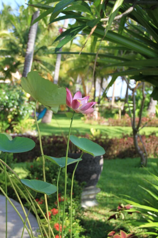 Felicianas Resort
