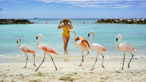 Spectacular Designer Villa 5 Star Luxury 6 Bedroom New!, Reserva ahora Villa Noord Aruba