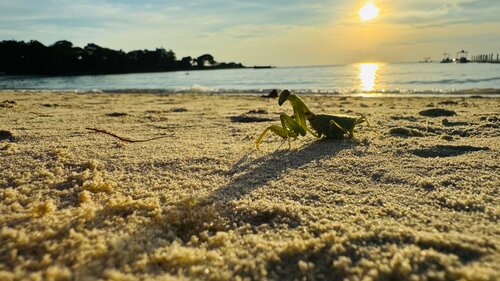 Crescent Bay Resort, Забронировать Курортный отель Ко Самет 