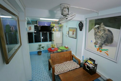 Chan Myae Thar Guest House, Rezervovat Penzión Penziony v Yangon Region, Penzión