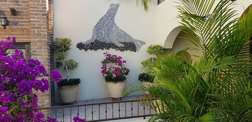 Posada de las Flores La Paz, Prenota Hotel La Paz Baja California Sur