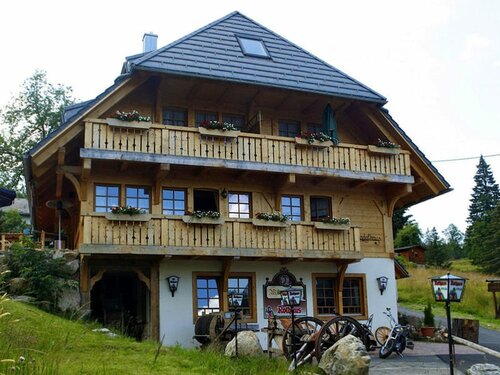 Hotel & Restaurant Grüner Baum - Die Grüne Oase Am Feldberg, Забронировать Отель Фельдберг Баден-Вюртемберг