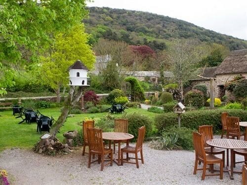 Exmoor Owl & Hawk Centre, Rezervasyon Otel Minehead 