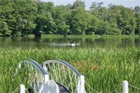Best Western Frensham Pond Hotel, Buchen Sie Hotel Churt England