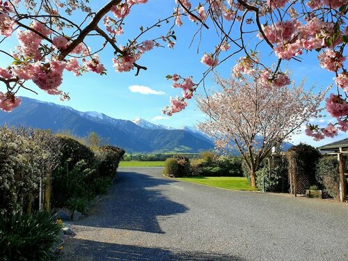 Ardara Lodge B&B, Забронировать Отель Отели South Island с парковкой, Парковка