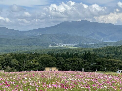 Chiisana Hotel Kaze Kozo, Prenota Hotel Shinano Nagano