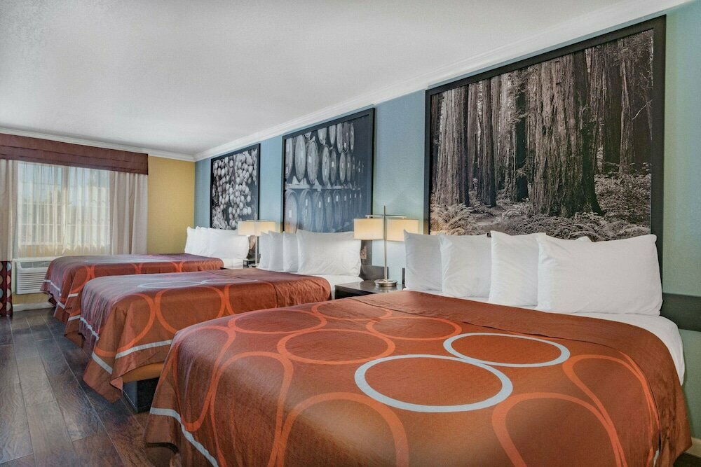 The Orchard Hotel