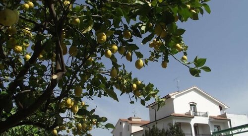 Residence Il Borgo degli Ulivi Resort, Забронировать Курортный отель Отели Ривьера-делле-Пальме с парковкой, Парковка
