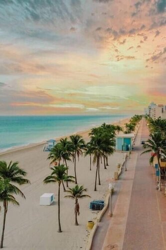 Restaurants, Nightlife Dania Beach Holiday
