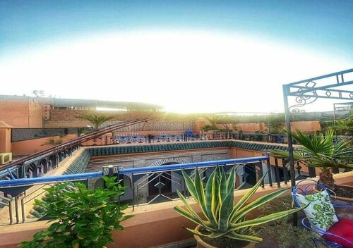 Riad Zarka