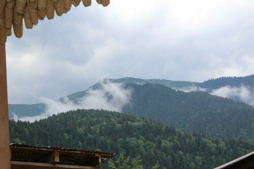 Ecohouse Svaneti, Забронировать Гостевой дом Недорогие отели Местия, недорогие