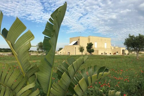 Masseria Gelsi, Varaa Bed and Breakfast Torre Chianca Salento