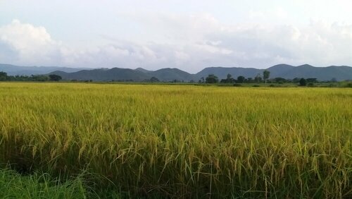 Baan Saun Homestay by Lamyai Khunmae, Забронировать Отель Бан-Тхи Lamphun Province