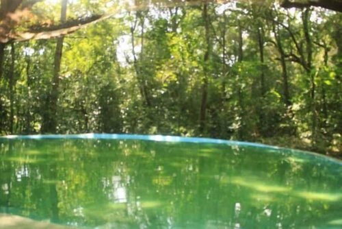 Book Jungle, Reservar Hotel Habarana 