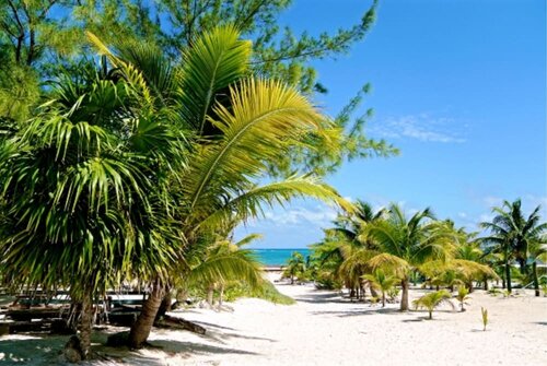 Private oceanfront house - lagoon access, Prenota Hotel Hotel a Quintana Roo con parcheggio, Parcheggio