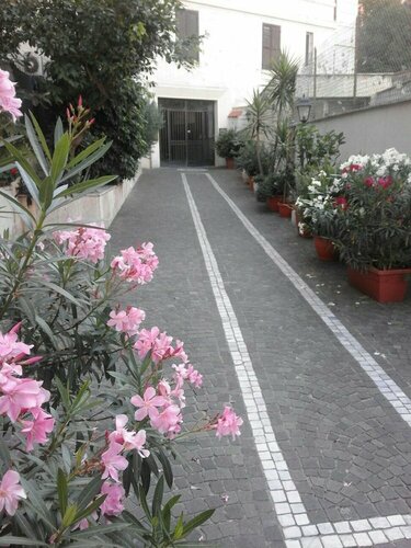 Rome Home Trastevere 246, Book Pension Trastevere Rom