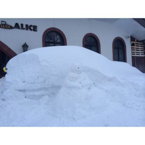 Rental Lodge White Rabbit Madarao kogen Cottage Rabbit
