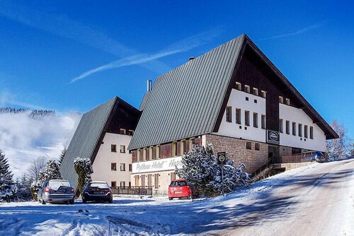 Pytloun Wellness Hotel Harrachov, Забронировать Отель Гаррахов Либерецкий край
