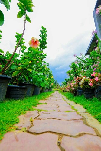 Ella Flower Garden Resort, Varaa Lomakeskus Ella Sri Lanka