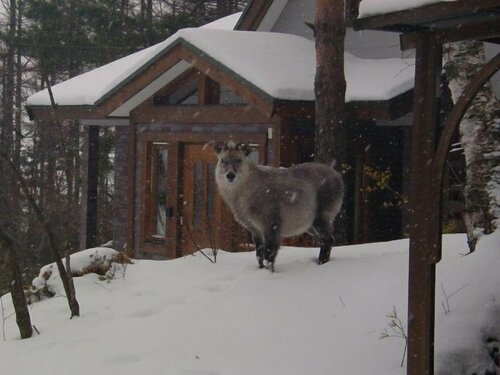 Pension Richemond, Забронировать Гостевой дом Отели Gunma с парковкой, Парковка