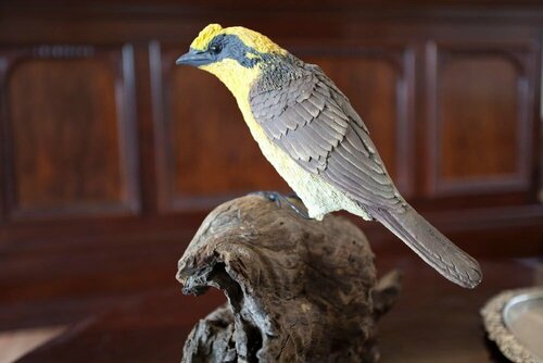 Honeyeater Cottage, Забронировать Дом для отпуска Севиль Долина Ярра