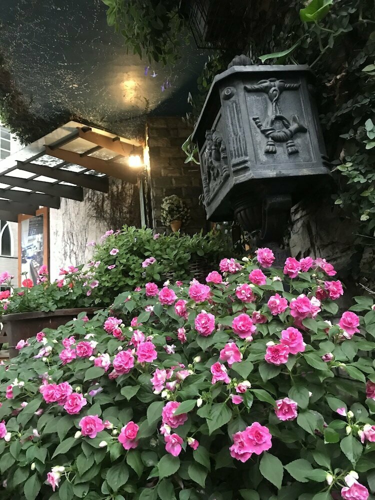 Puli Town Bed and Breakfast