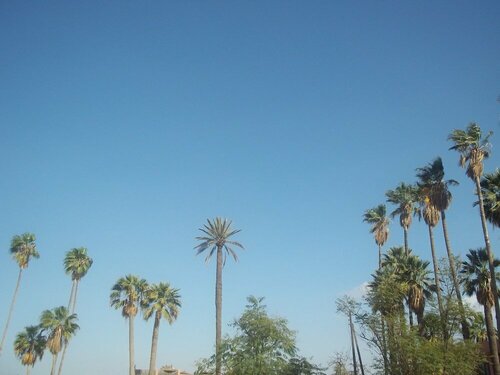 Riad Taroudant Palmiers, Prenota Hotel Hotel a Souss-Massa-Draa con parcheggio, Parcheggio