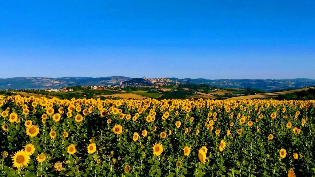 Il Focolare