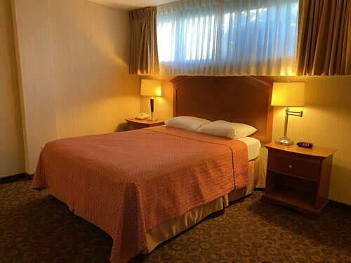 Royal Pacific Motor Inn, Забронировать Отель Чайна-таун 
