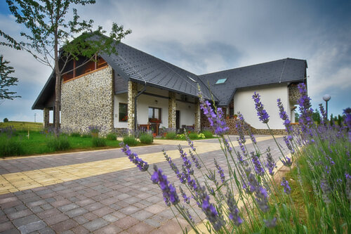 Villa Stone, Rezerwuj Willa Hotele w Rakovica z basenem, Basen
