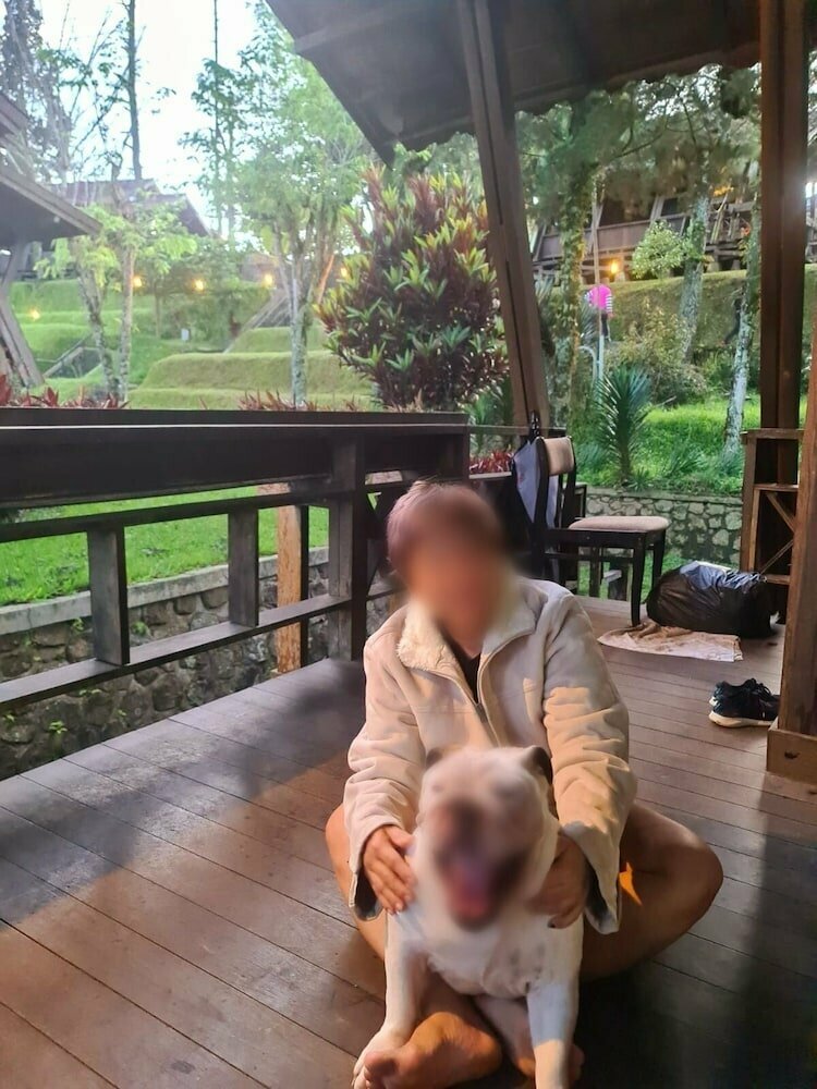 Argapuri Resort di Jungle