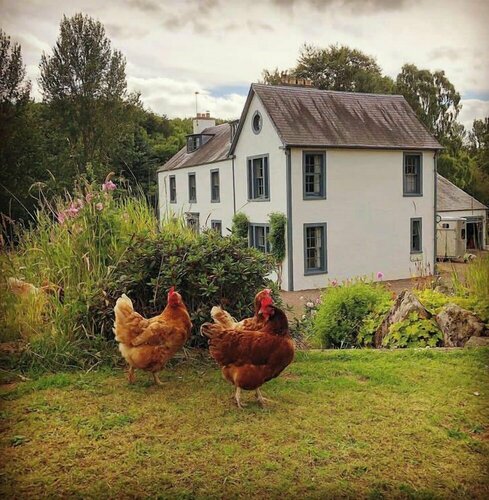 Bedrule Old Manse B&B, Reservar Pousada (com pequeno-almoço) Hotéis em Hawick com estacionamento, Estacionamento