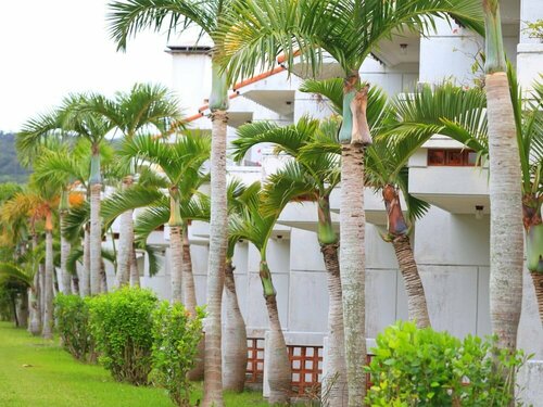 Watermark Hotel Okinawa Kume Island, Book Hotel Hoteller i Okinawa med parkering, Parkering