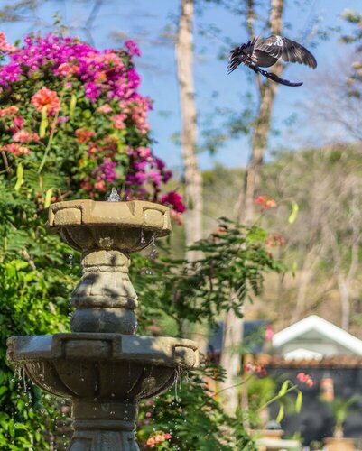 Casas del Toro Playa Flamingo, Buchen Sie Aparthotel Flamingo Guanacaste