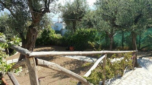 Sorrento Olive Tree Garden, Забронировать Гостевой дом Сорренто Побережье Сорренто, рядом с Площадь Пьяца-Тассо