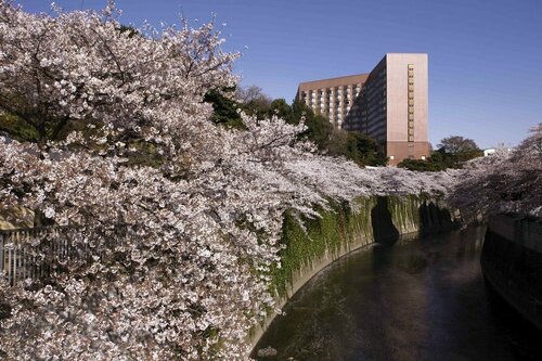 Hotel Chinzanso Tokyo, Забронировать Отель Отели Бункё с бассейном, Бассейн