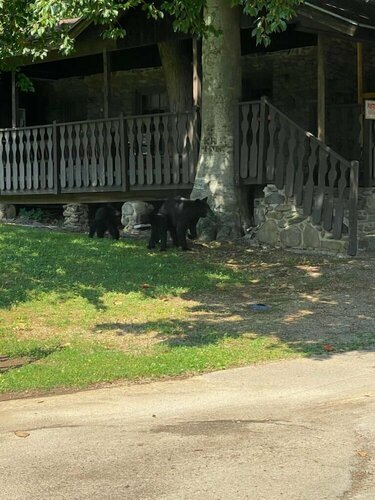 Bear Creek Inn Gatlinburg, TN, Забронировать Мини-отель Мини-отели Гатлинберг, рядом с Тематический парк Anakeesta, Мини-отель