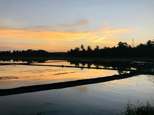 Rice Field View Home Stay, Забронировать Вилла Виллы Хамбантота, Вилла