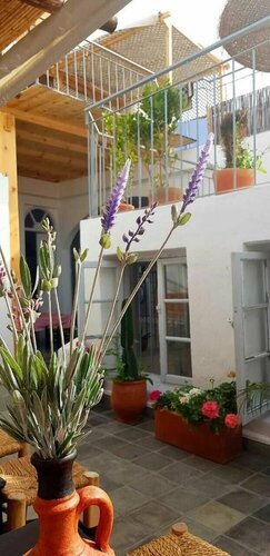 Riad Art House