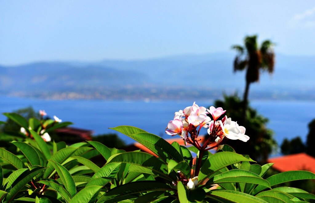 Villa Scilla e Cariddi